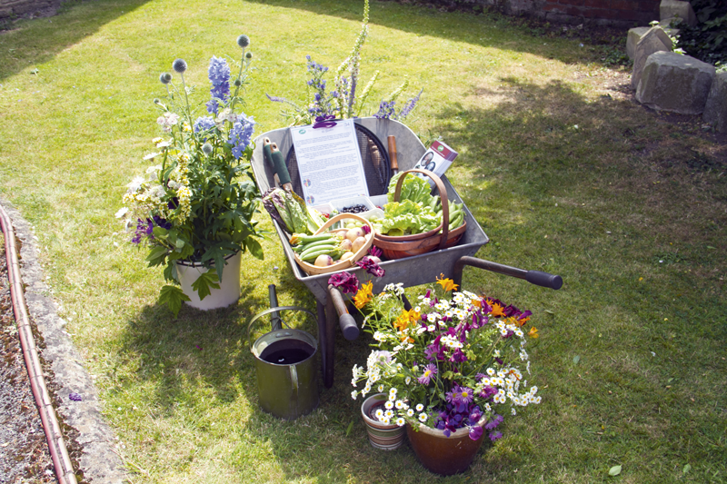 The Olney Flower Festival